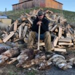 man posing with 6 dead coyotes