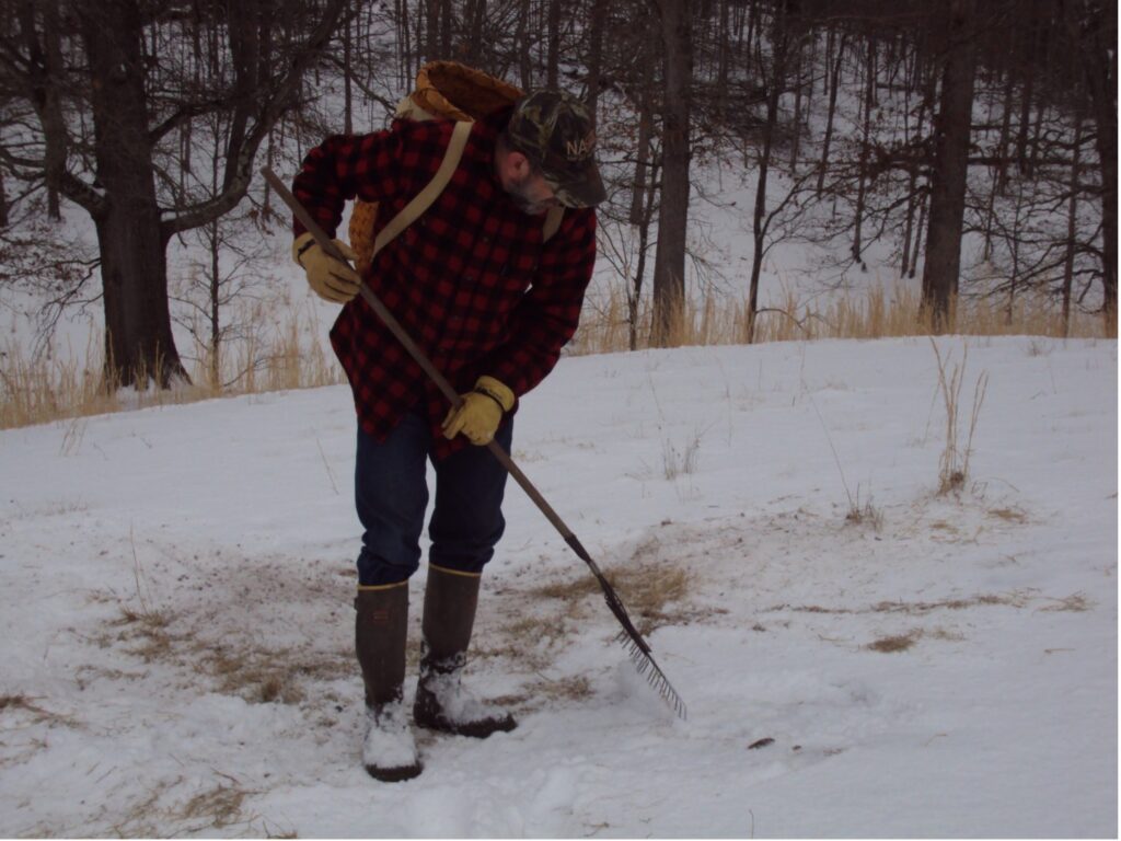 Steel-tined leaf rake is a great tool for cleaning snow off trap sets and for blending the area