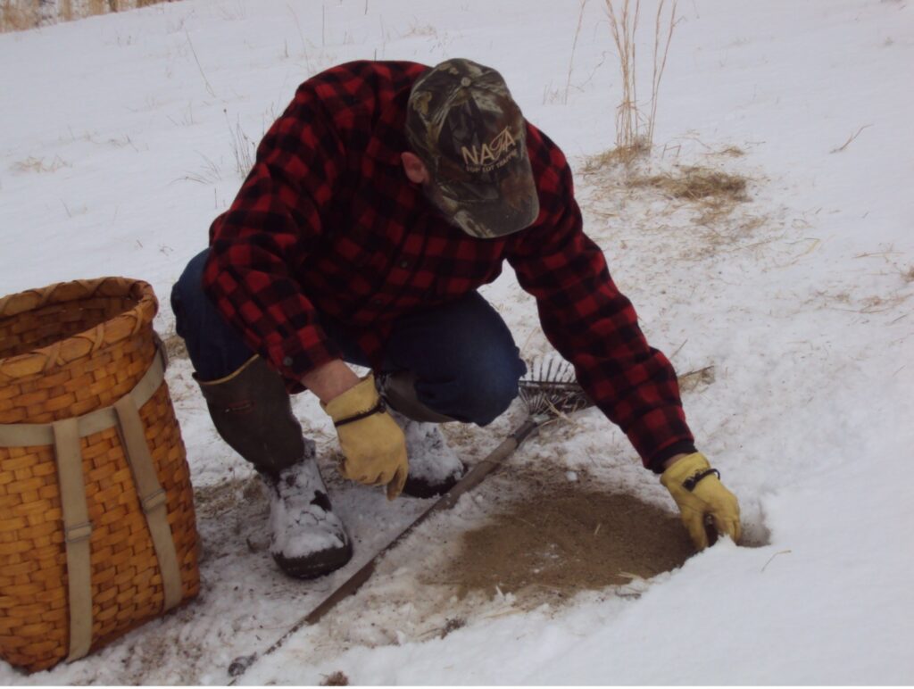 Man setting coyote trap in snow